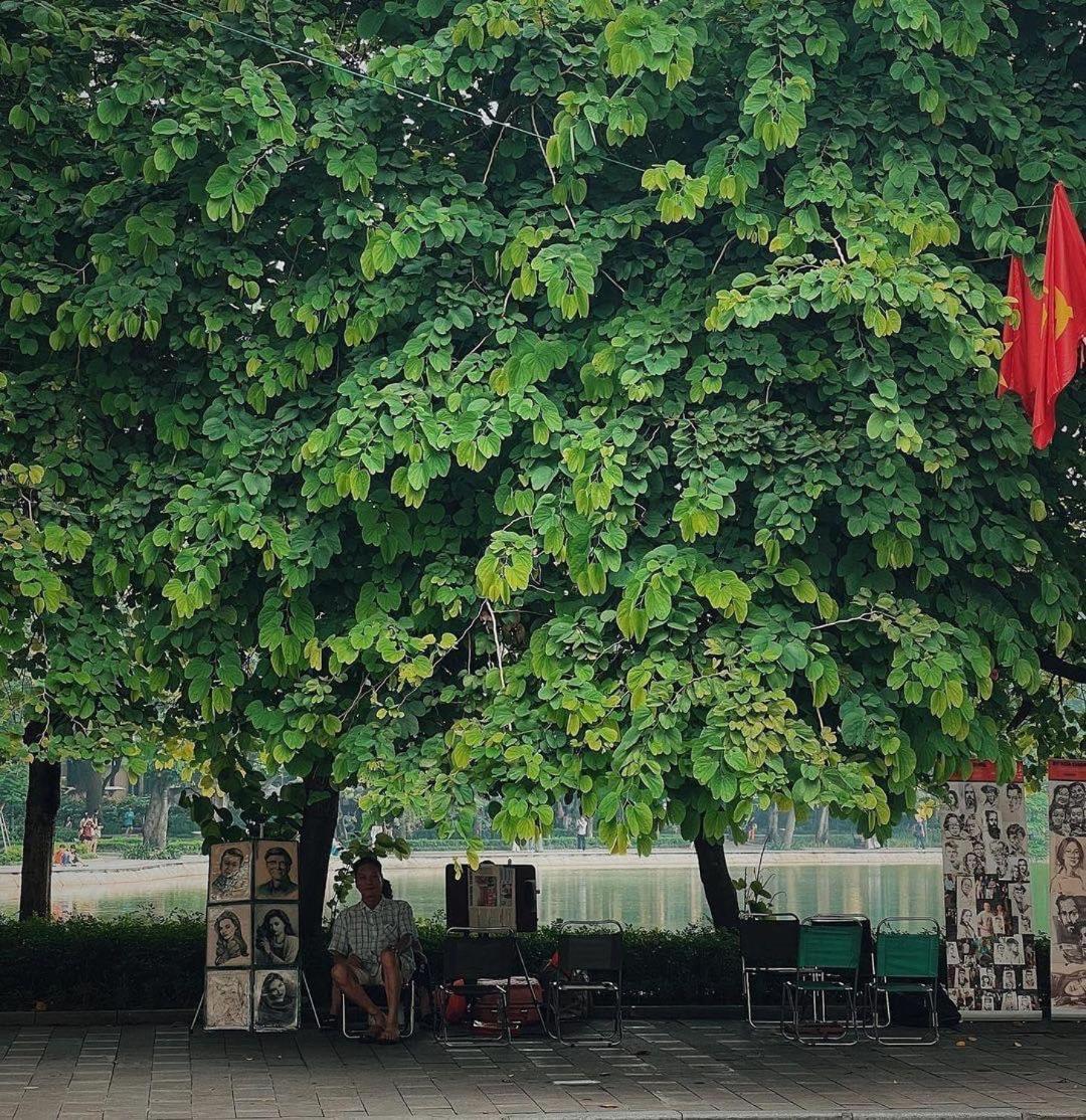 Tropical Land Little Hanoi Homestay Exterior photo