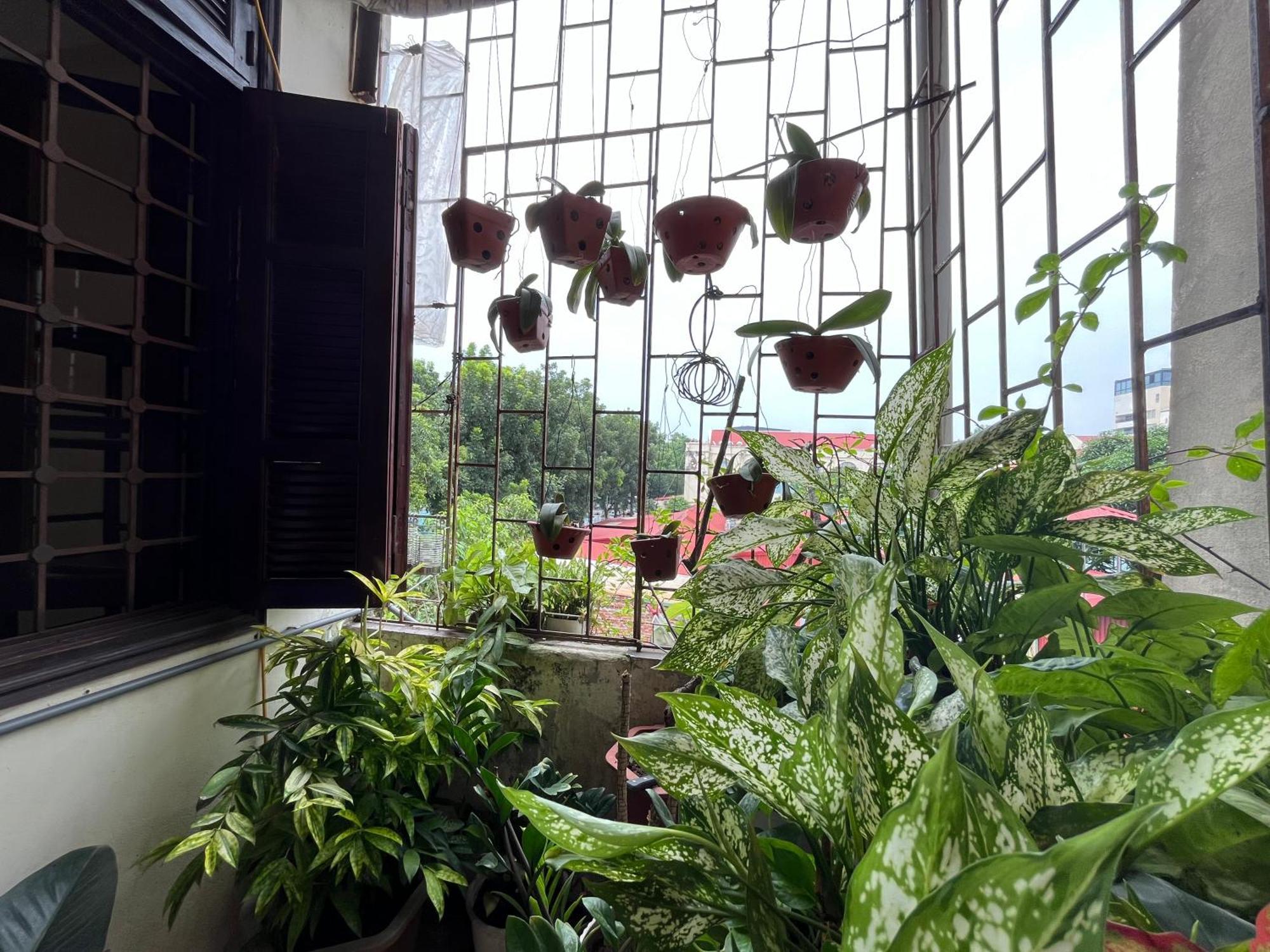 Tropical Land Little Hanoi Homestay Exterior photo